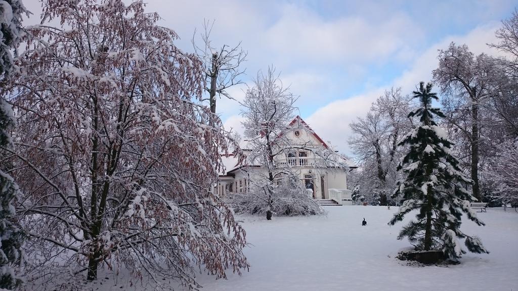 Dwor Osmolice Bed & Breakfast Bialki Dolne ภายนอก รูปภาพ