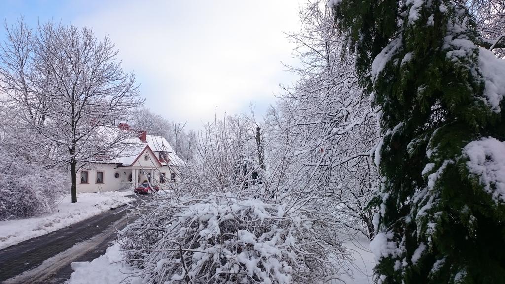 Dwor Osmolice Bed & Breakfast Bialki Dolne ภายนอก รูปภาพ