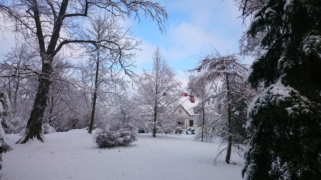 Dwor Osmolice Bed & Breakfast Bialki Dolne ภายนอก รูปภาพ